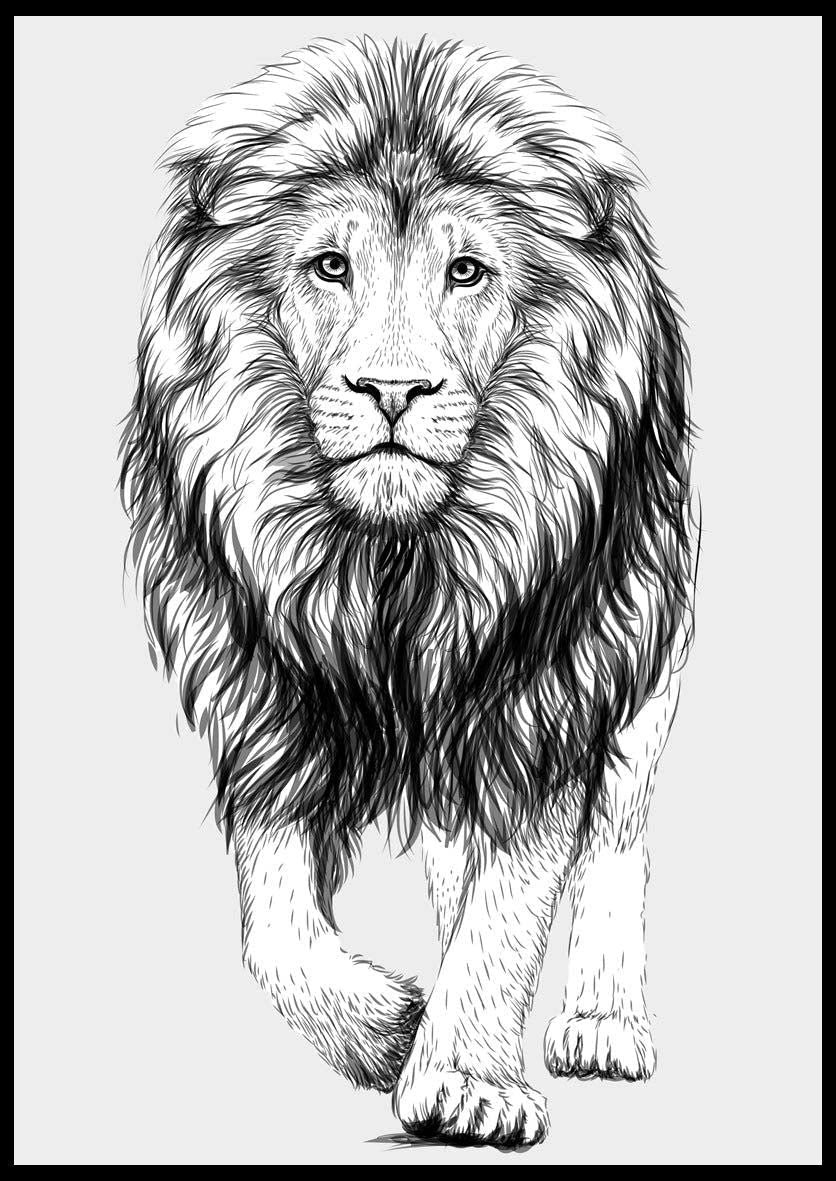 The Lion