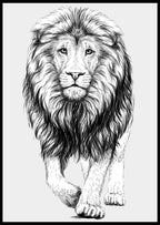 The Lion