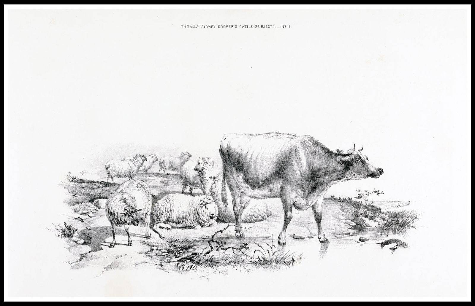 Thomas Sidney Cooper - Thomas Sydney Cooper’s cattle subjects Pl.11 Poster - Hakyarts