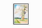 Torsten Jovinge - Trees in Field - Hakyarts