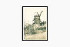 Vincent Van Gogh - Moulin de la Galette