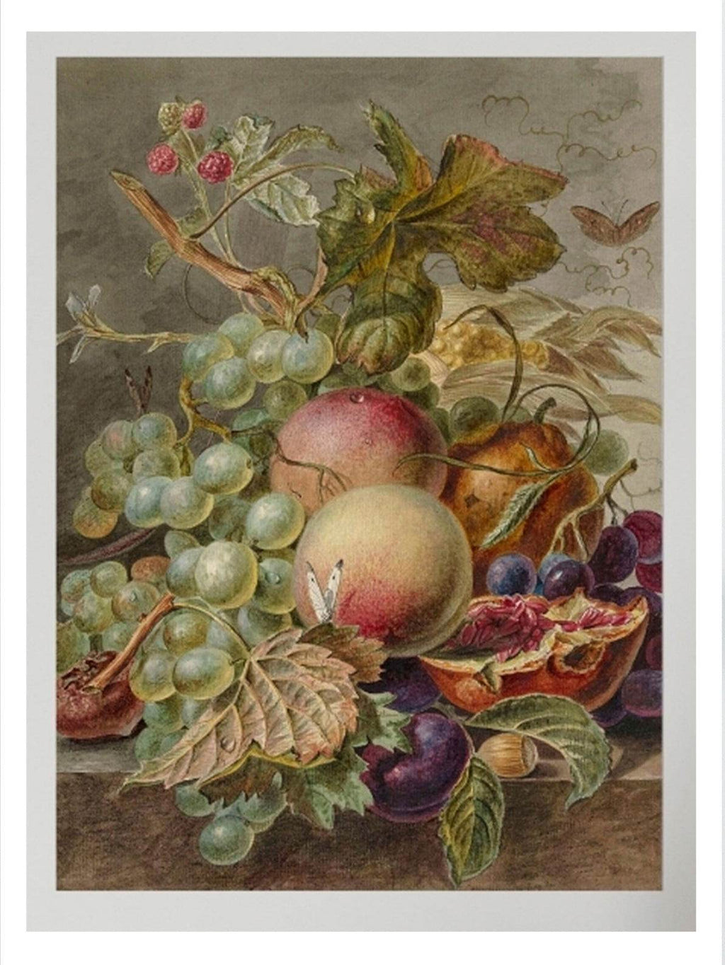 Vintage Still Life Poster - Hakyarts