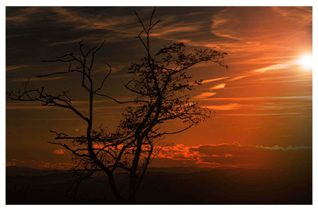 Warm Red Sky - Hakyarts