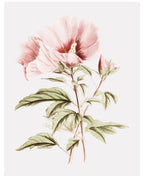 Watercolor Rose Bouquet Art Poster - Hakyarts