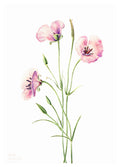 Watercolour Roses Poster