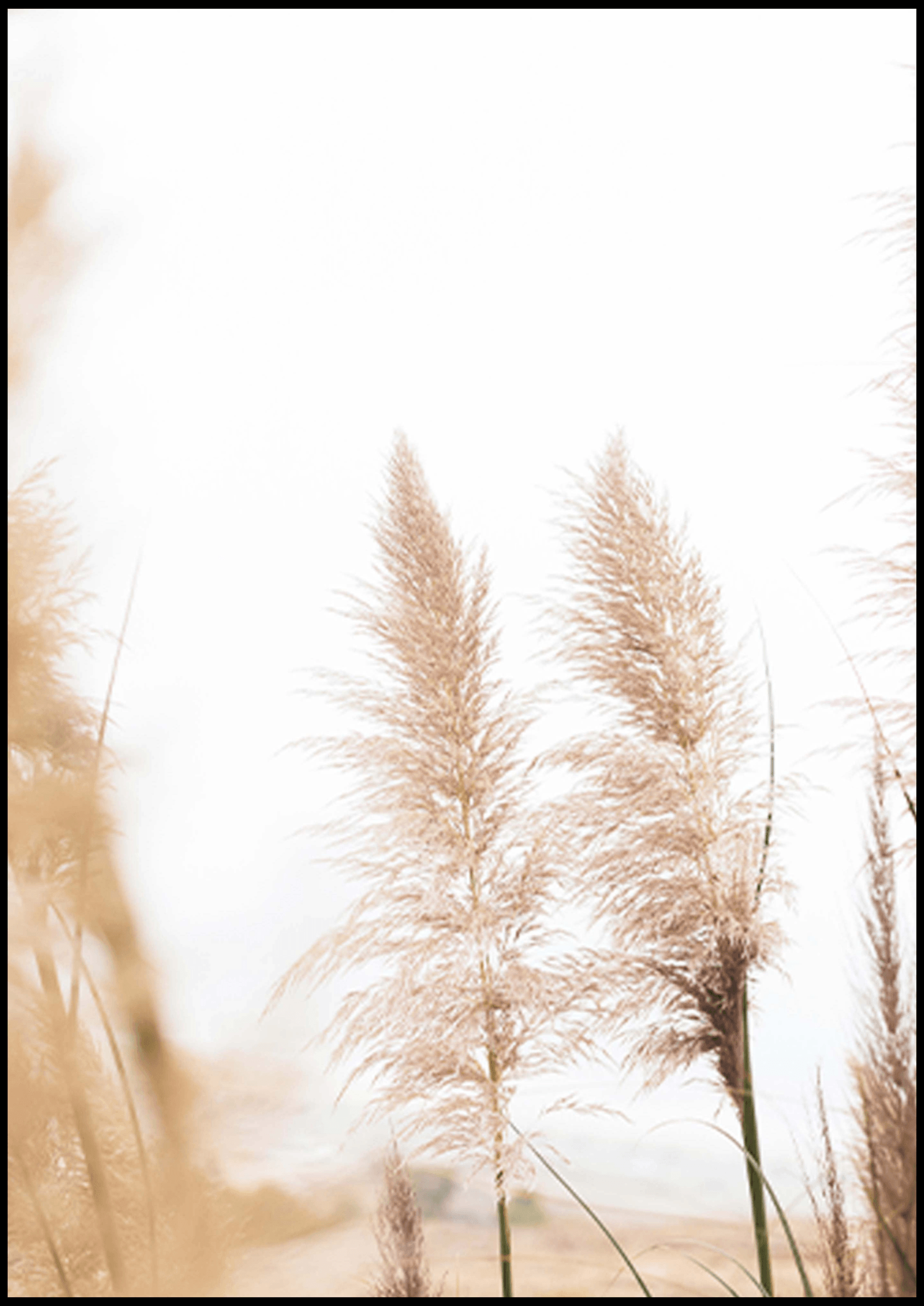 Wheat Beach Poster - Hakyarts