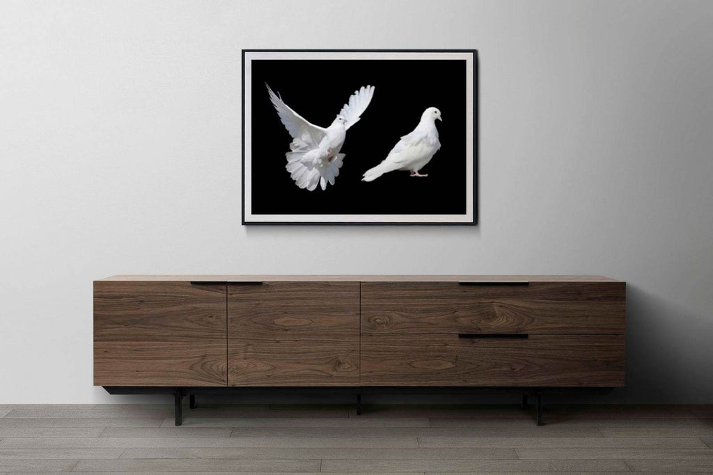 White Doves Poster - Hakyarts
