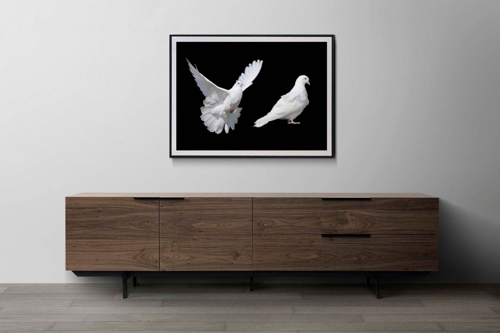 White Doves Poster - Hakyarts