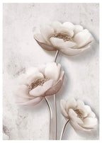 Set of 4 Watercolour Feather + Beige Brush Stroke + White Orchid + Monochrome Botanica | Minimalist Botanical & Abstract Wall Art Prints