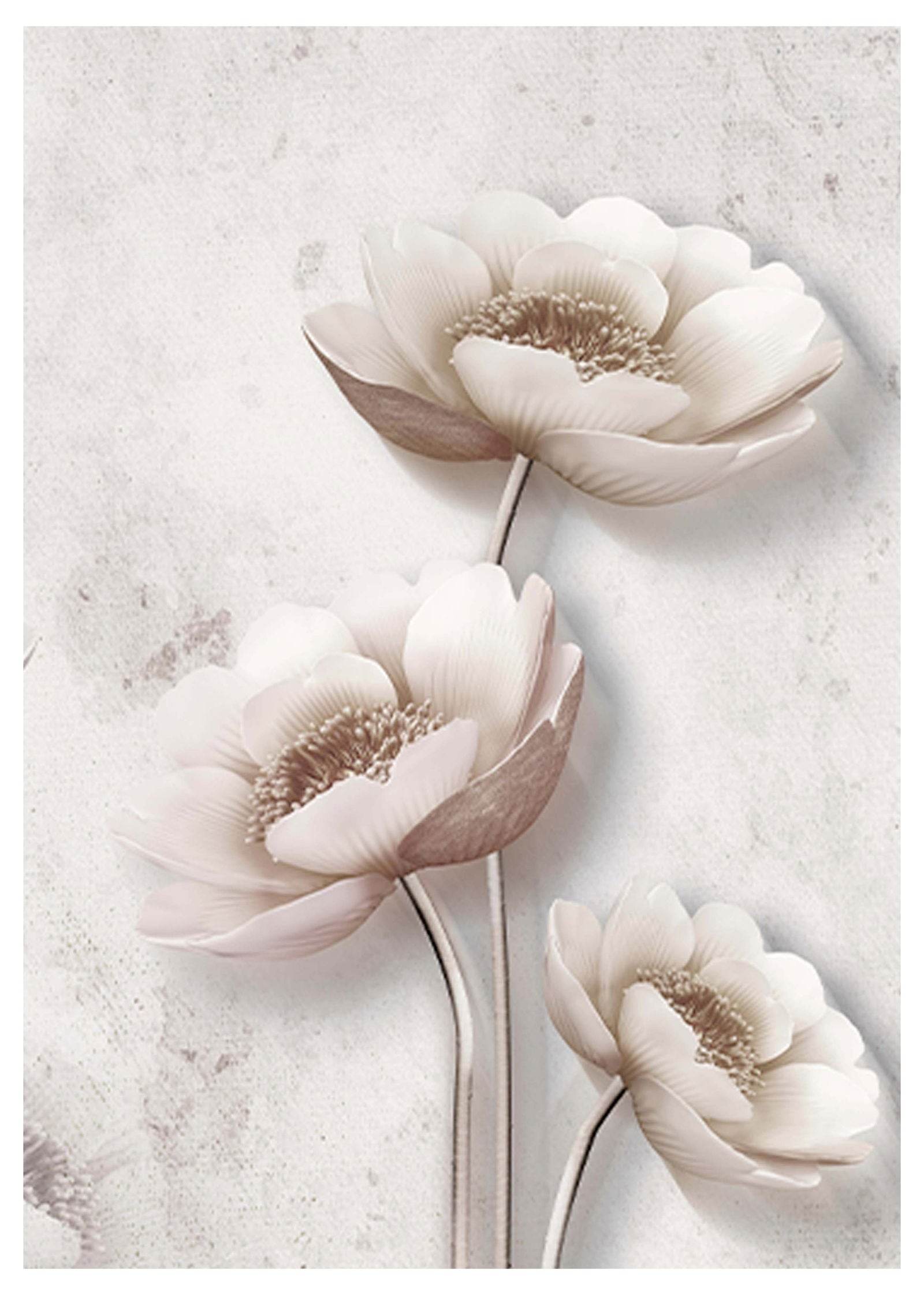 Set of 4 Watercolour Feather + Beige Brush Stroke + White Orchid + Monochrome Botanica | Minimalist Botanical & Abstract Wall Art Prints