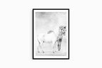 William Hamilton - William Beckford’s Ponies - Hakyarts