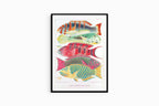 William Saville-Kent - Great Barrier Reef Fishes - Hakyarts