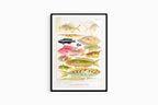 William Saville-Kent - Great Barrier Reef Fishes II - Hakyarts