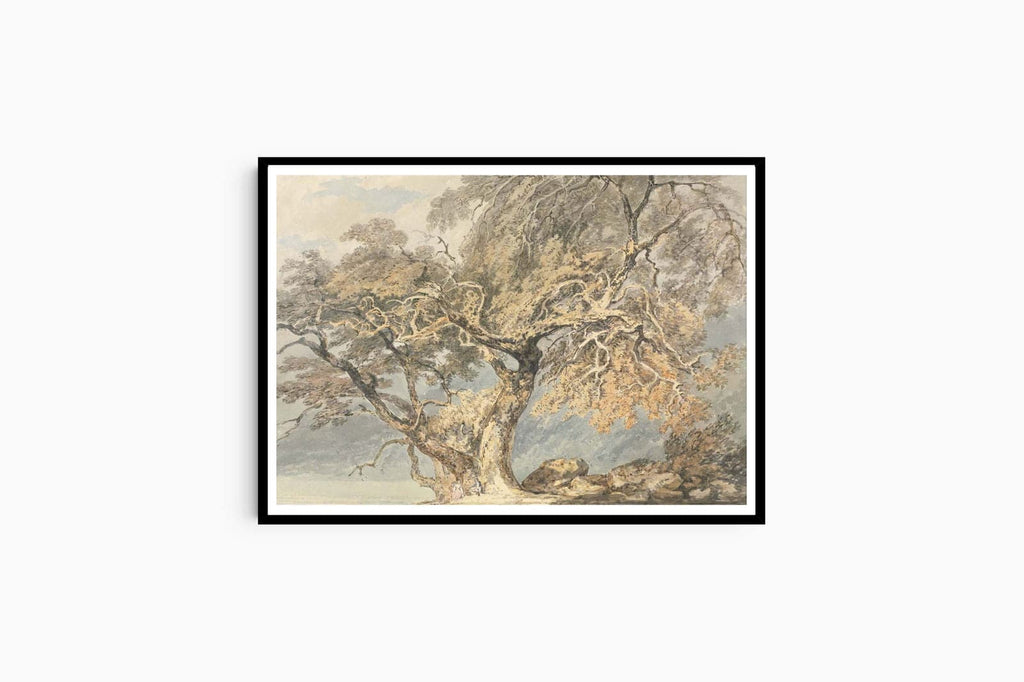 William Turner - A Great Tree