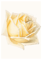 Yellow Floral Rose Poster - Hakyarts