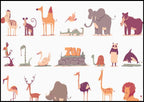 Zoo Animals