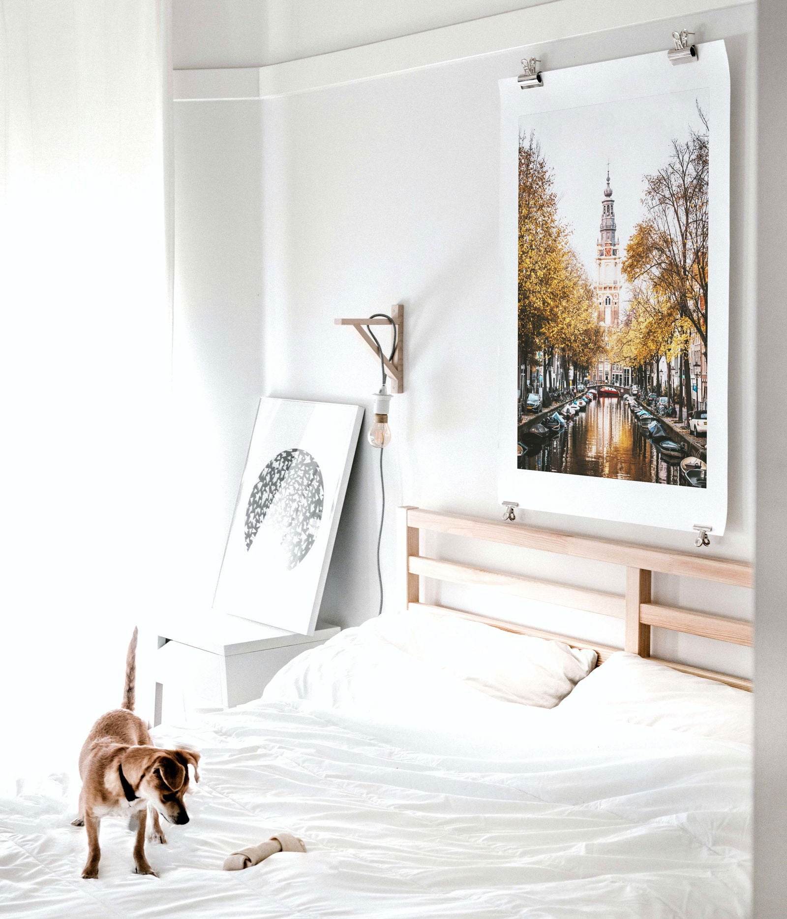 Zuiderkerk Poster - Hakyarts