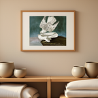 Gyrfalcon (Falco Rusticolus) by John James Audubon – Classic Ornithology Art Print - Hakyarts