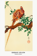 Pheasant in Branch – Ohara Koson Poster | Japanese Nature Art Print - Hakyarts