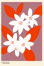 Petal Palette – 6 Floral Prints | Mix & Match Wall Art Collection - Hakyarts