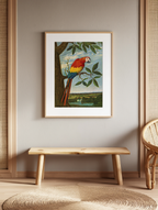 Arara by Albert Eckhout – Exotic Bird Illustration Art Print - Hakyarts