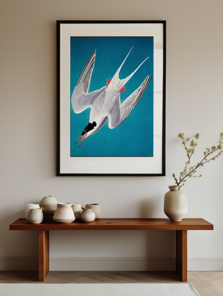 John James Audubon - Roseate Tern