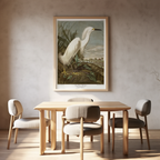 John James Audubon – Snowy Heron – Iconic Natural History Art Print - Hakyarts