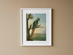 Blauscheitelmotmot by Albert Eckhout – Exotic Bird Illustration Art Print - Hakyarts