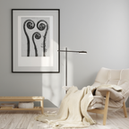 Adiantum Pedatum by Karl Blossfeldt – Botanical Photography Art Print - Hakyarts