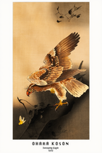 Swooping Eagle – Ohara Koson Poster | Japanese Nature Art Print - Hakyarts