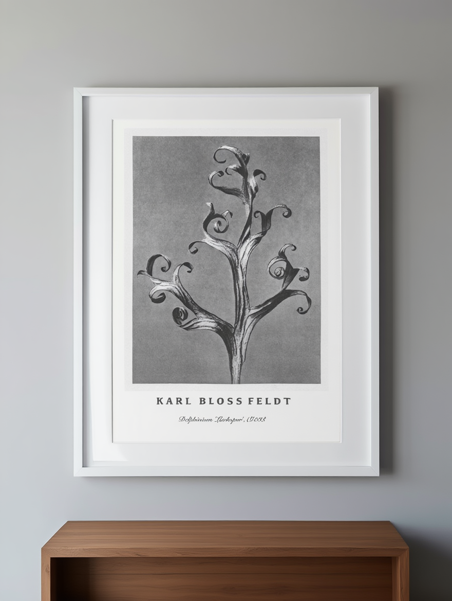 Karl Blossfeldt - Delphinium 'Larkspur' Poster
