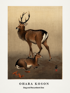 Ohara Koson – Stag and Recumbent Doe – Elegant Japanese Nature Art Print - Hakyarts
