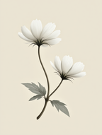 Peach & Petal – Romantic Floral Illustration - Hakyarts