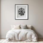 Saxifraga Aizoon – Karl Blossfeldt – Vintage Botanical Art Print - Hakyarts