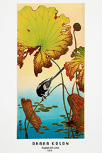 Wagtail and Lotus by Ohara Koson – Classic Japanese Bird-and-Flower Woodblock Art Print - Hakyarts
