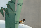 mboo in Snow (‘Secchuchiku’) by Kamisaka Sekka – Japanese Botanical & Seasonal Art Print - Hakyarts