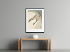 Ohara Koson - Flying White-Fronted Goose Poster - Hakyarts