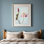 Lotus Flowers by Ogawa Kazumasa – Japanese Photography Art Print