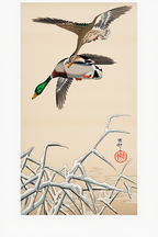 Mallards – Ohara Koson Poster | Japanese Nature Art Print - Hakyarts