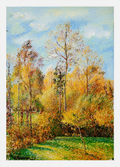 Autumn, Poplars, Eragny by Camille Pissarro (1894) – Vintage Impressionist Landscape Art Print