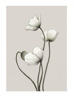 Wildflower Symphony – Colorful Nature Print - Hakyarts