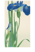 Blue Irises – Ohara Koson Poster | Japanese Nature Art Print - Hakyarts