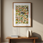 Vintage Fruits I by Adolphe Millot – Botanical Illustration Art Print - Hakyarts