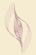 Pendulum Curve (1899–1910) by Frederick H. Evans – Fine Art Photography Print