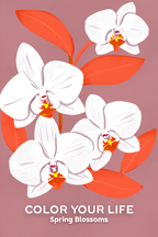 Floral Symphony – 6 Botanical Prints | Mix & Match Wall Art Collection - Hakyarts