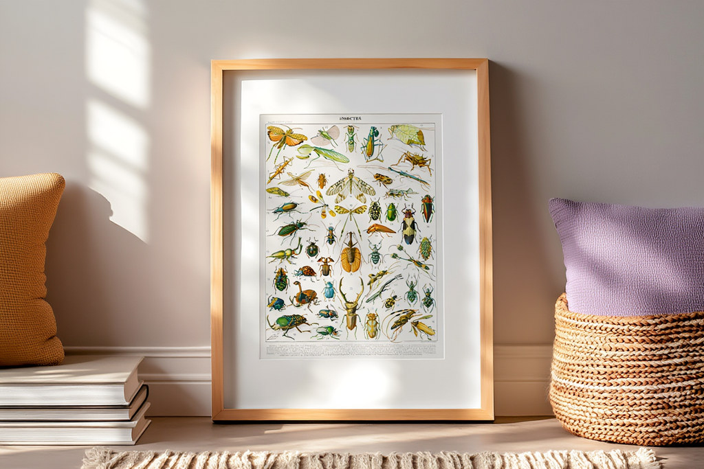 Adolphe Millot - Insectes I Poster