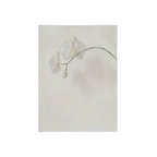 Crisp Floral in Fog Canvas Print | Minimalist Botanical Wall Art