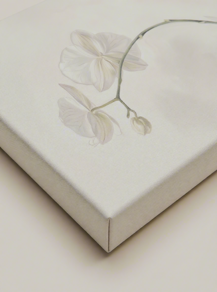 Crisp Floral in Fog Canvas Print | Minimalist Botanical Wall Art