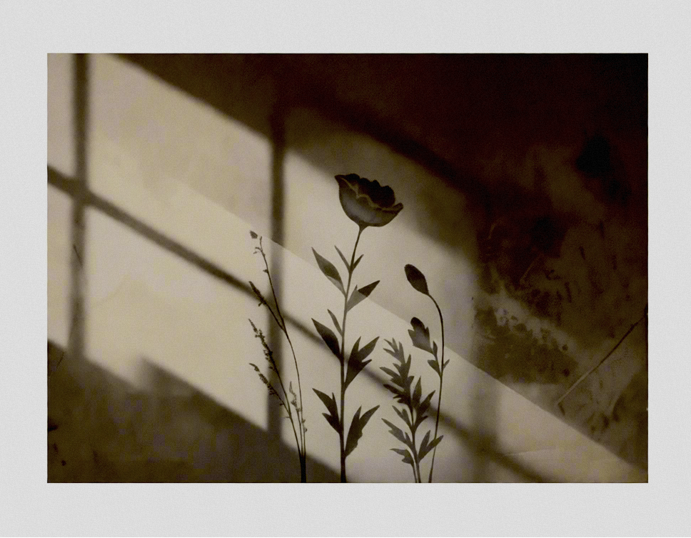 Canvas Print Floral Shadow Play | Botanical Wall Art