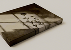 Canvas Print Floral Shadow Play | Botanical Wall Art